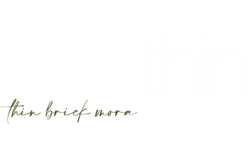 logo-thinmora-home